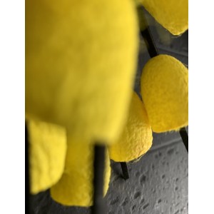 Kisa Χειροποίητο κολιέ από κουκούλια μεταξοσκώληκα Σουφλίου κίτρινο