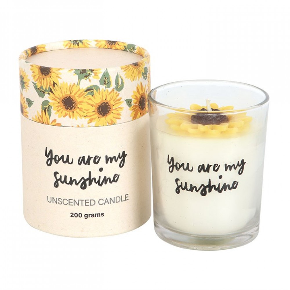 BS "You Are My Sunshine" 3D Candle  354gr