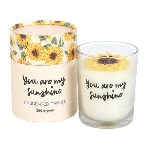 BS "You Are My Sunshine" 3D Candle  354gr