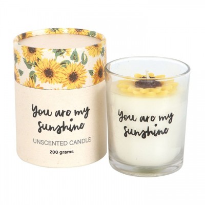 BS "You Are My Sunshine" 3D Candle  354gr