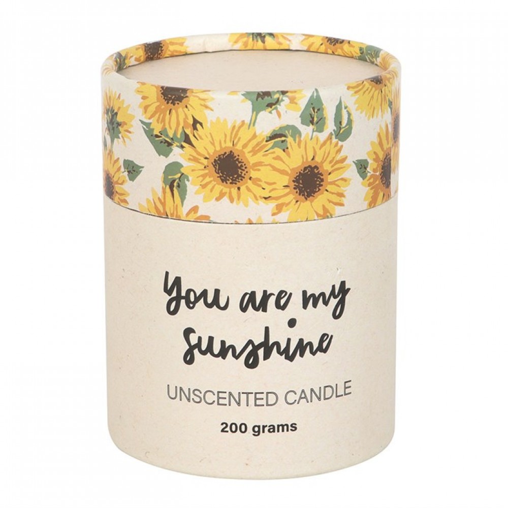 BS "You Are My Sunshine" 3D Candle  354gr