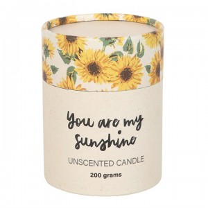 BS "You Are My Sunshine" 3D Candle  354gr